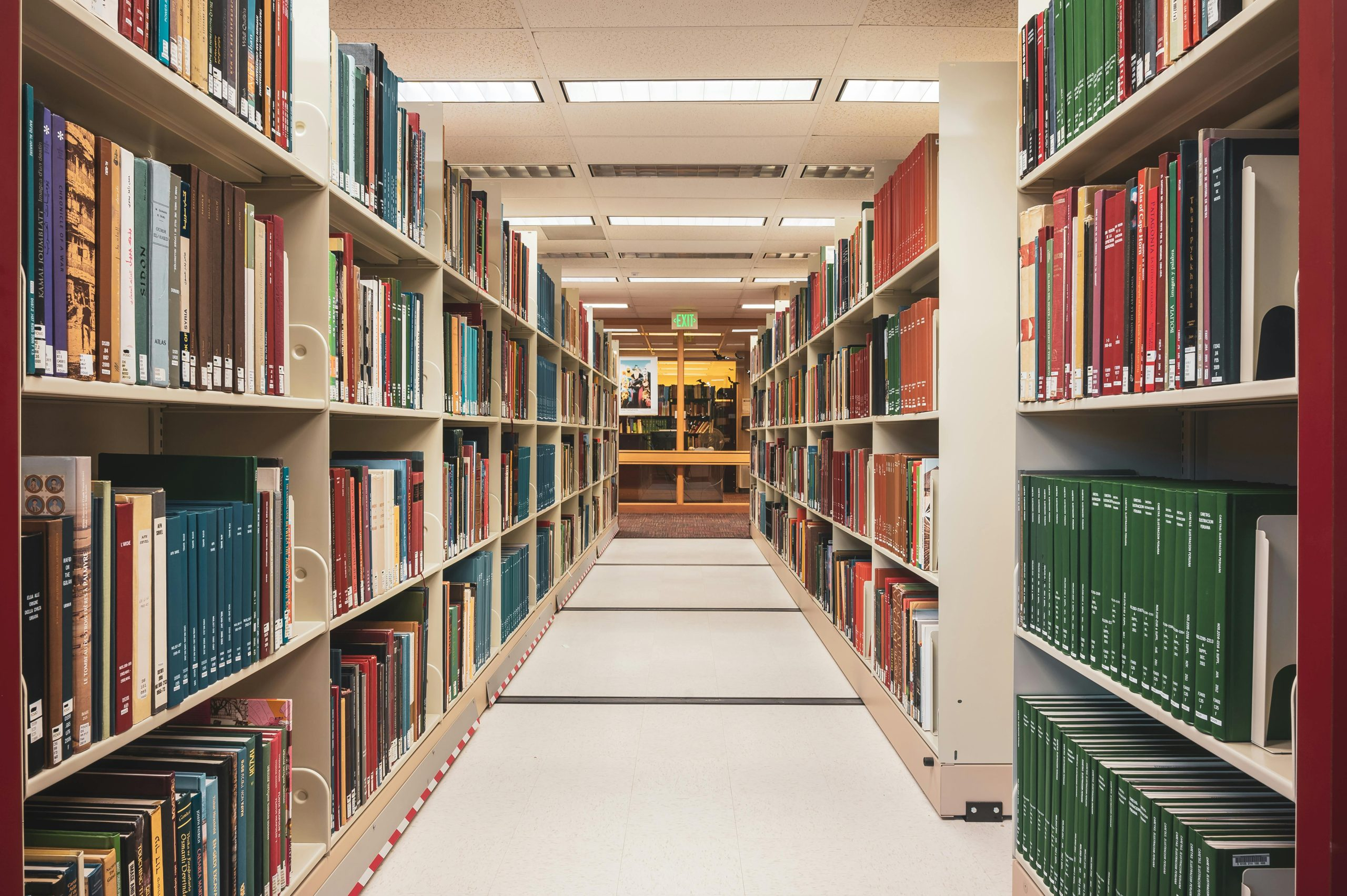 The quiet power of a school library in the digital age