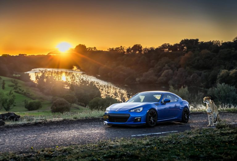 The transformative power of a wildlife safari adventure