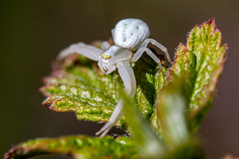 Finding Beauty in the Imperfect and Unfinished