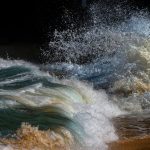 The Transformative Power of a Good Book