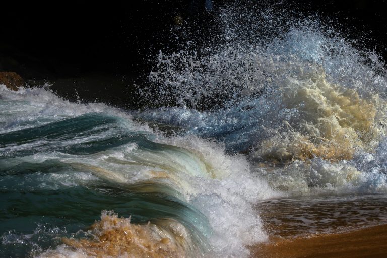 The Transformative Power of a Good Book