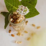 Nourishing Your Body with a Plant-Based Diet