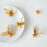 The Transformative Power of a Simple Life