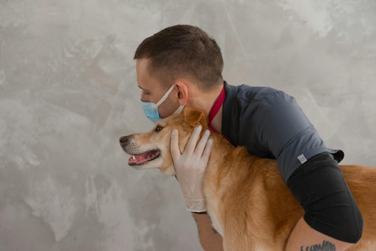 Automated Pet Care Gadgets Perfect For Busy Professionals