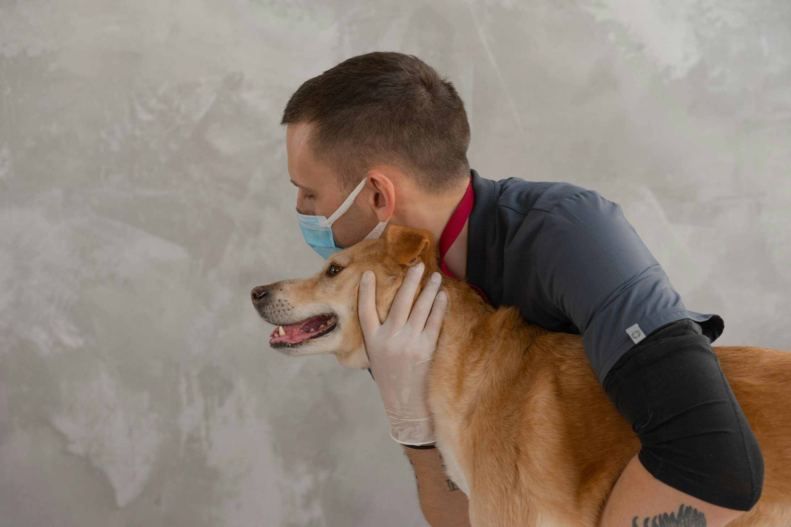 Automated Pet Care Gadgets Perfect For Busy Professionals