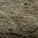 The Secret to Building a Strong and Supportive Network