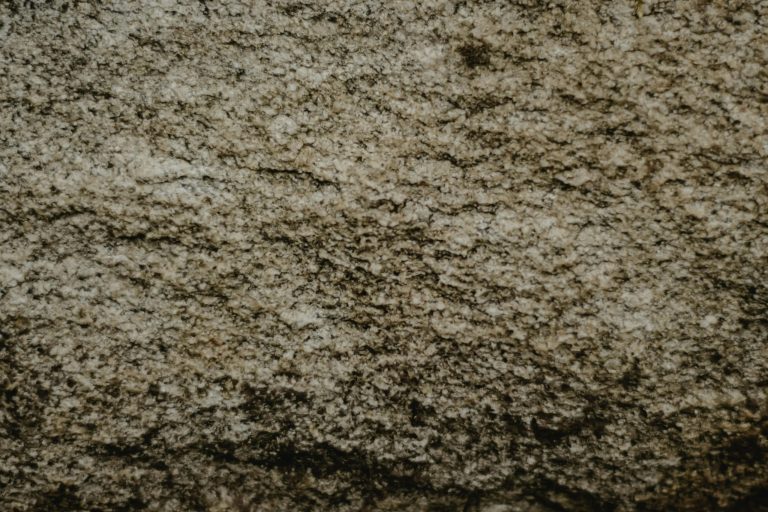 The Secret to Building a Strong and Supportive Network